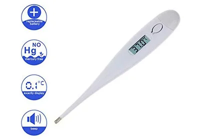 Image: Digital Medical Thermometer (by Lazapa-Outdoor)