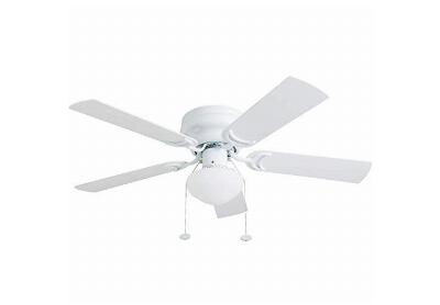 Image: Prominence Home 80092-01 42-inch Alvina Ceiling Fan with Led Globe Light
